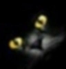 Koshisa's avatar.
