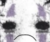 SPRAYT's avatar.